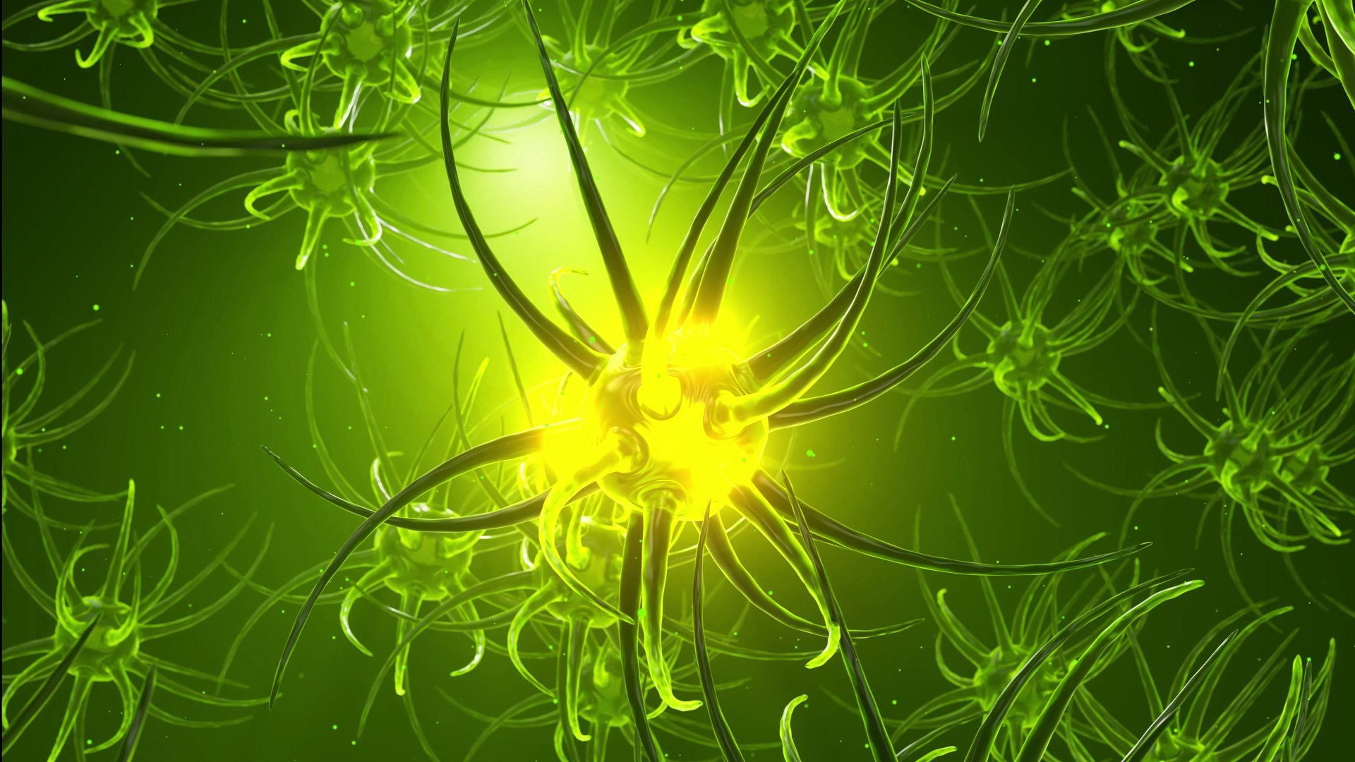 Was sind neuronale Netzwerke? Einfach erklärt