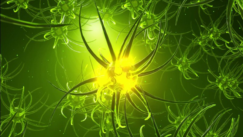 Was sind neuronale Netzwerke? Einfach erklärt